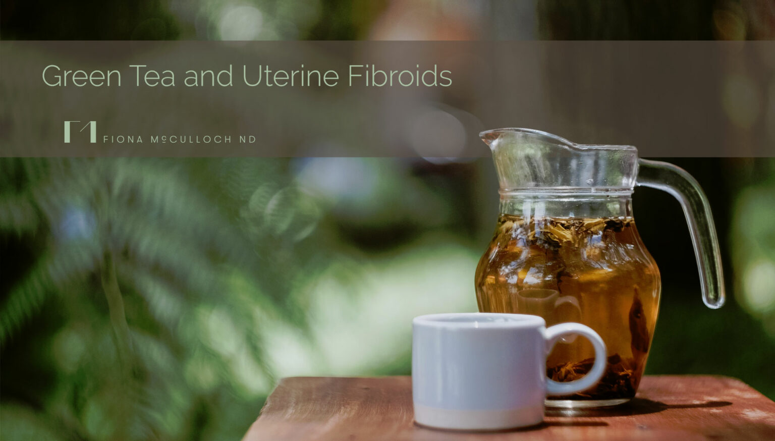 Green Tea EGCG a Natural Treatment for Uterine Fibroids Dr Fiona ND